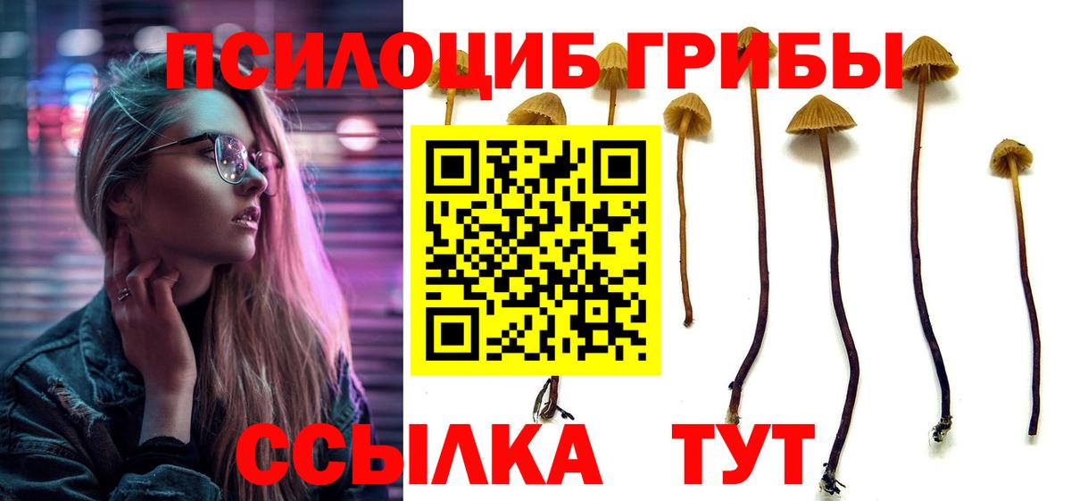 Псилоцибиновые грибы MAGIC MUSHROOMS  Вход с VPN  Улан-Удэ 